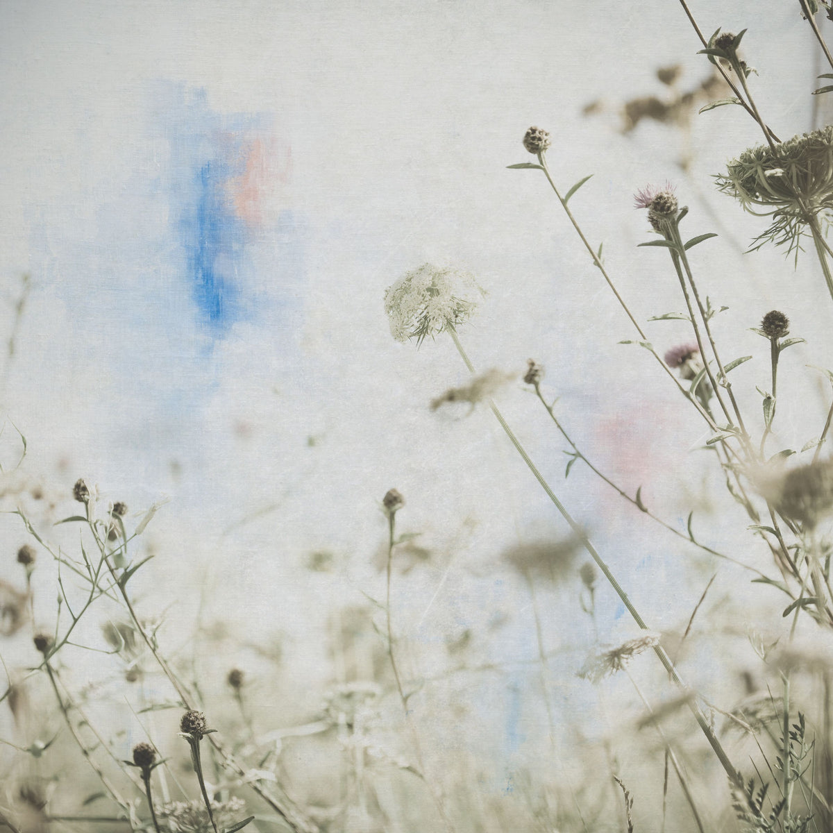 Wild Flowers II Mural Wallpaper - pure wallpaper artwork