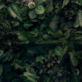Wall of Leaves Mural Wallpaper - pure wallpaper artwork
