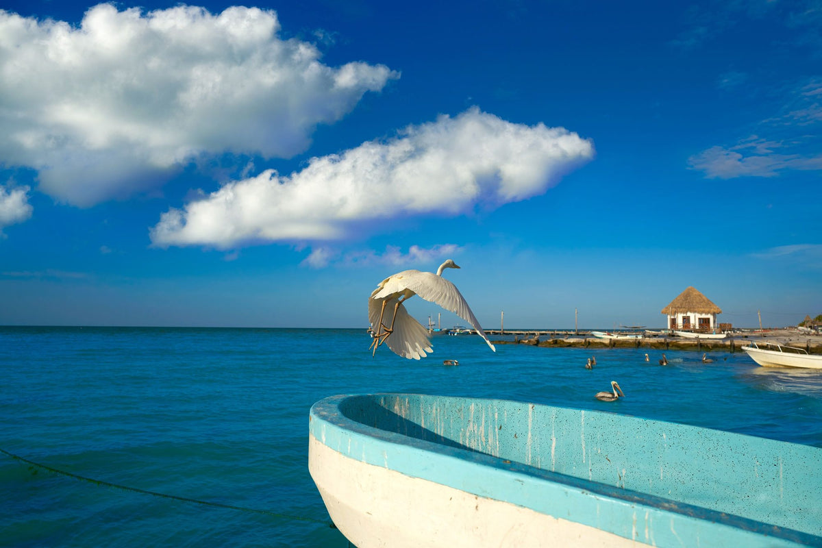 Ocean Freedom Mural Wallpaper - pure wallpaper artwork