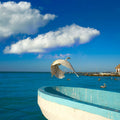 Ocean Freedom Mural Wallpaper - pure wallpaper artwork