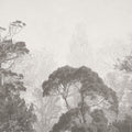 The Old Woodland Mural Wallpaper - pure wallpaper artwork