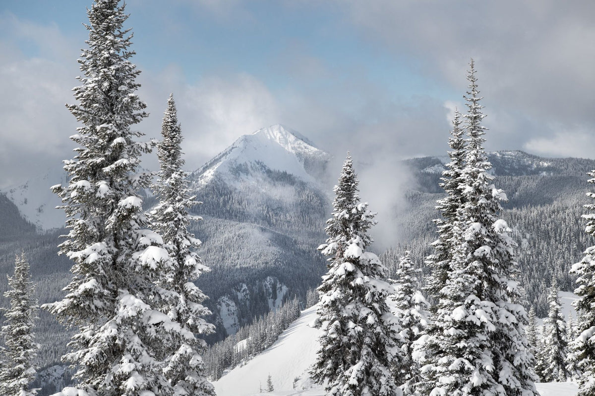 North Cascades Mural Wallpaper - pure wallpaper artwork