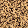Leopard Fur Texture No.I Mural Wallpaper - pure wallpaper artwork