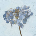 Golden Hydrangea Mural Wallpaper - pure wallpaper artwork