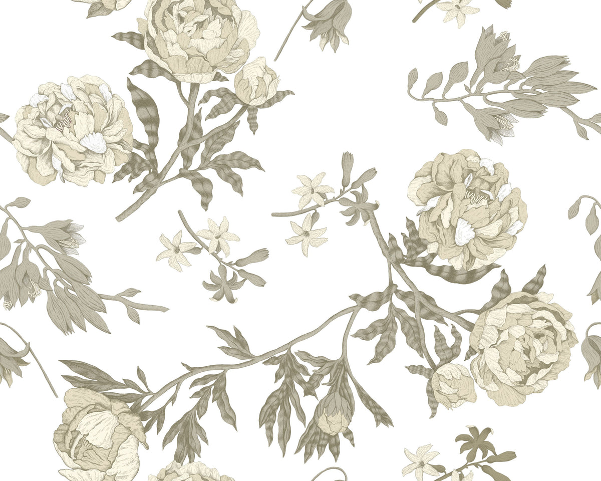 Peony Passion, Khaki on White Mural Wallpaper - pure wallpaper artwork