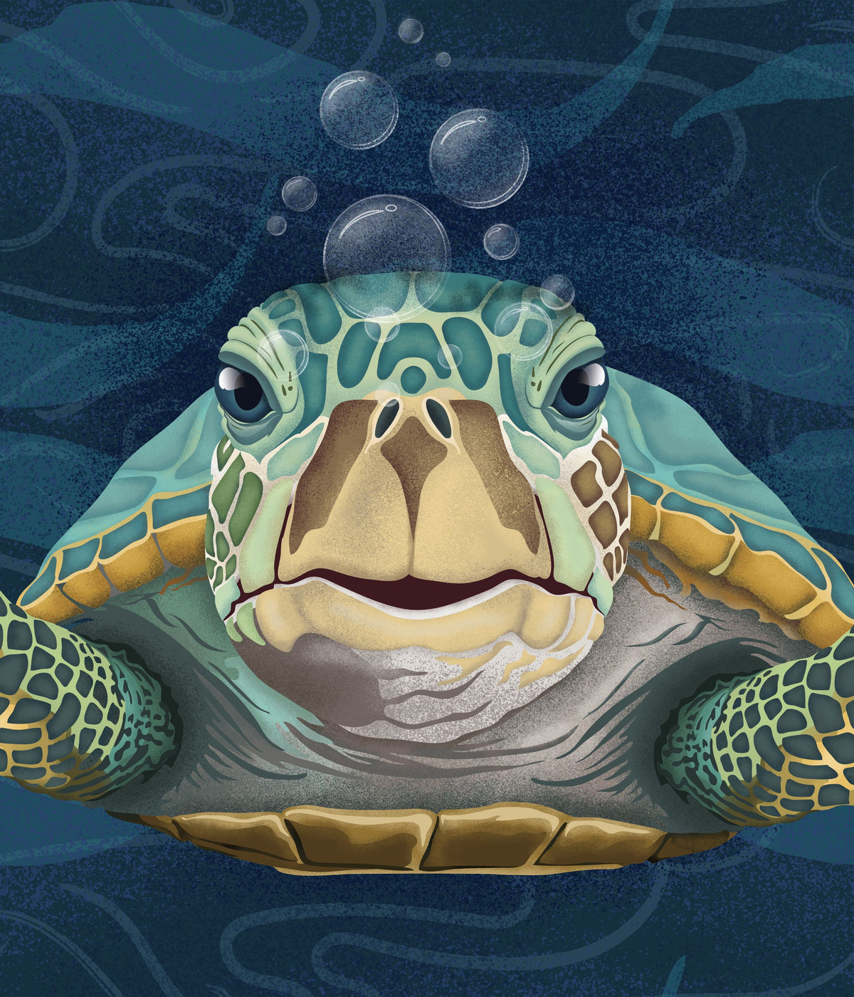 Hello Turtle, Aqua Mural Wallpaper - pure wallpaper artwork
