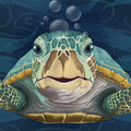 Hello Turtle, Aqua Mural Wallpaper - pure wallpaper artwork