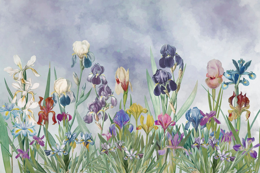 Iris Field Burst Mural Wallpaper