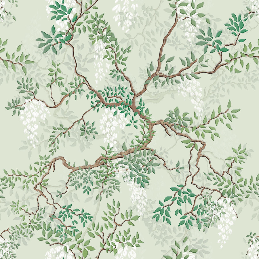 Climbing Wisteria, Sage Mural Wallpaper