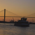 Golden Bridge Silhouette, Mural Wallpaper - pure wallpaper artwork