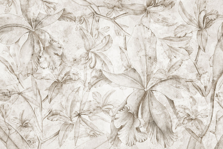 Orchids Sketch Mural Wallpaper - Light Tone