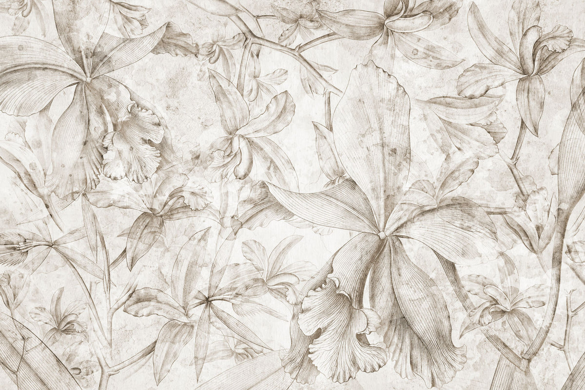 Orchids Sketch Mural Wallpaper - Light Tone - pure wallpaper artwork