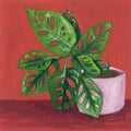 Monstera Study Mural Wallpaper - pure wallpaper artwork
