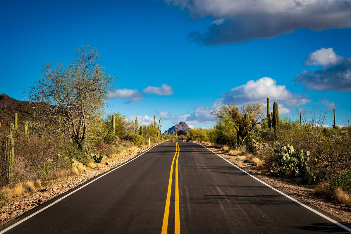Desert Highway Mural Wallpaper - pure wallpaper artwork