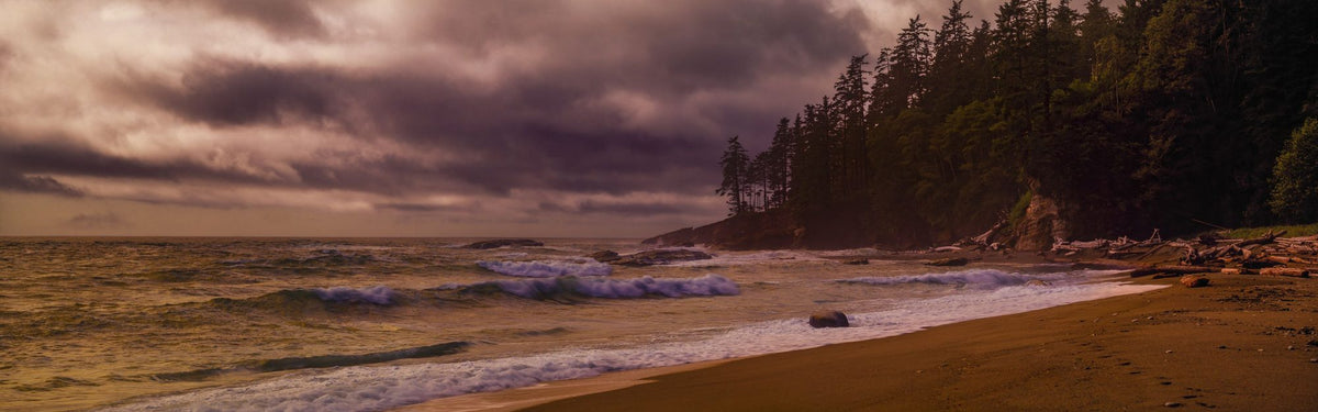 Tsusiat Beach Mural Wallpaper - pure wallpaper artwork