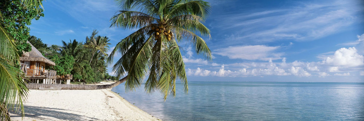 Tropical Beachside Haven Mural Wallpaper - pure wallpaper artwork