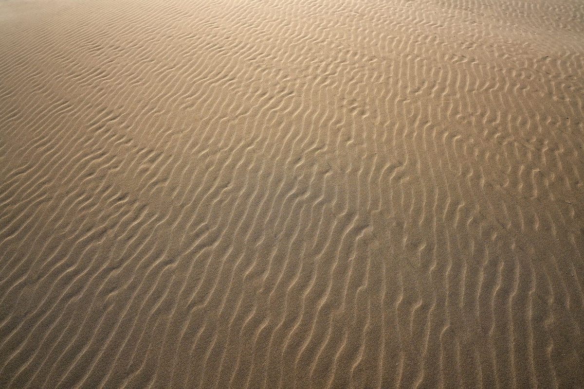 Desert Whispers Mural Wallpaper - pure wallpaper artwork