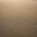 Desert Whispers Mural Wallpaper - pure wallpaper artwork
