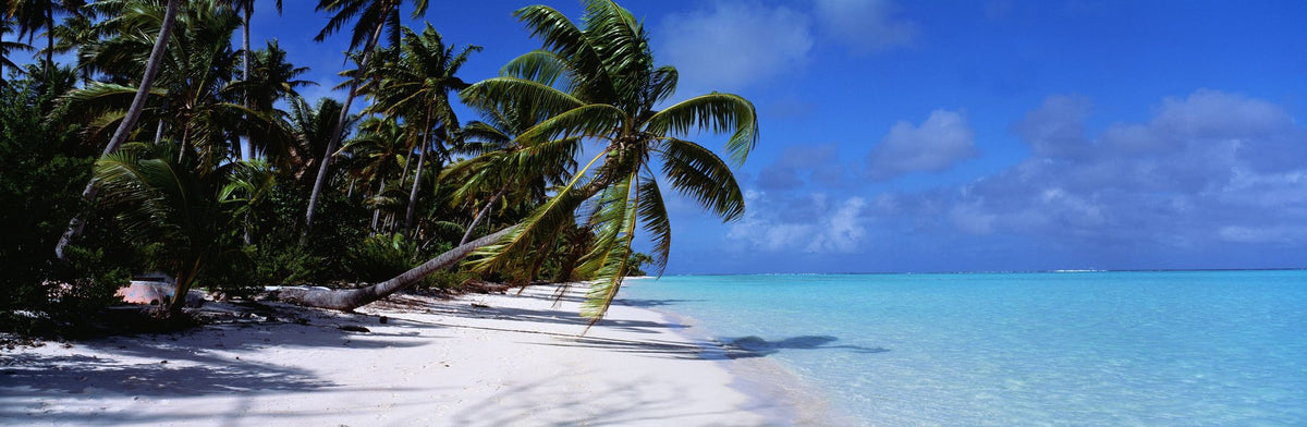 Paradise Shoreline Mural Wallpaper - pure wallpaper artwork