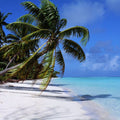 Paradise Shoreline Mural Wallpaper - pure wallpaper artwork