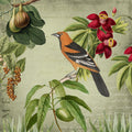Vintage Birds Mural Wallpaper - pure wallpaper artwork
