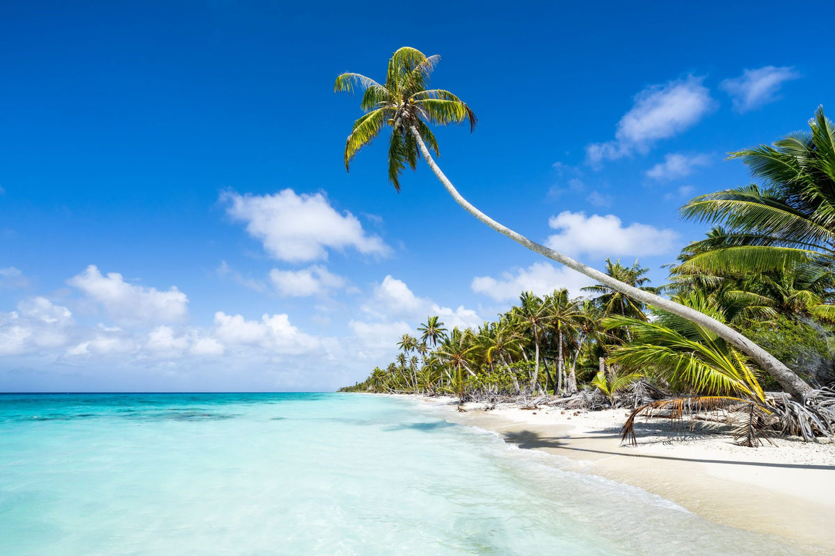 Tropical Beach on Fakarava Mural Wallpaper - pure wallpaper artwork