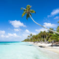 Tropical Beach on Fakarava Mural Wallpaper - pure wallpaper artwork