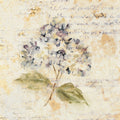 White Wash Hydrangea Mural Wallpaper - pure wallpaper artwork