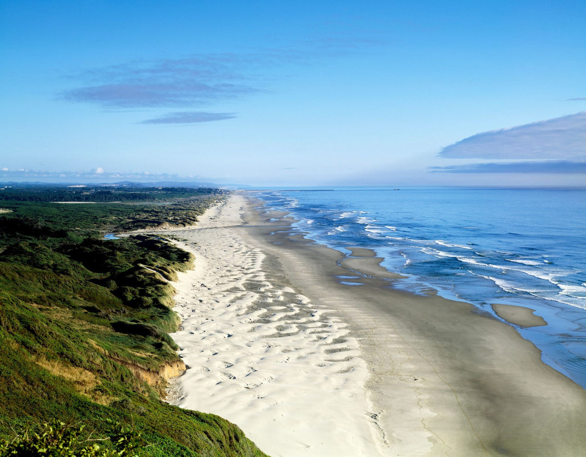 Oregon Dunes Mural Wallpaper - pure wallpaper artwork