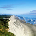 Oregon Dunes Mural Wallpaper - pure wallpaper artwork