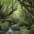 Forest Exploring Mural Wallpaper - pure wallpaper artwork