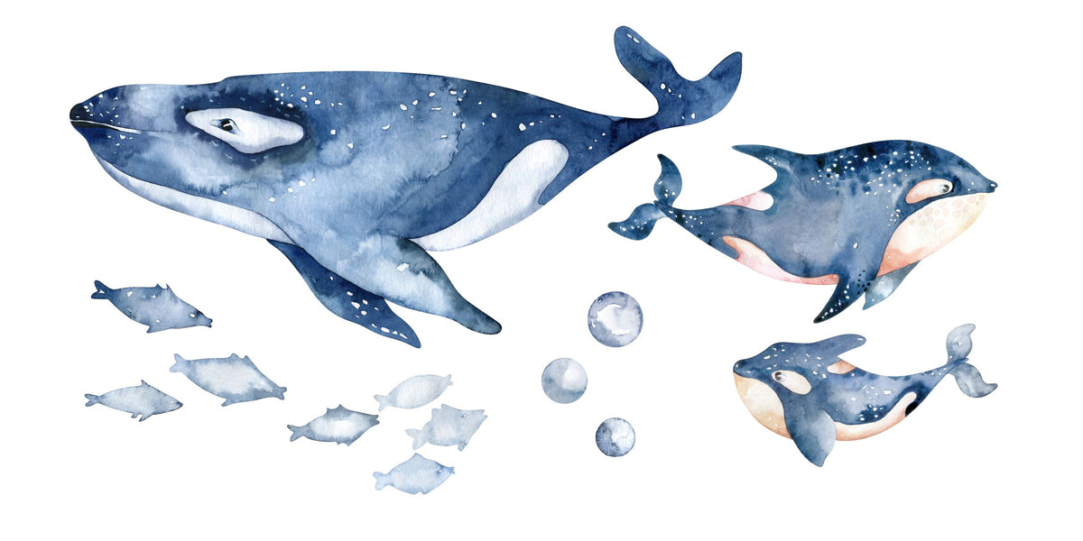 Whale Song Mural Wallpaper - pure wallpaper artwork