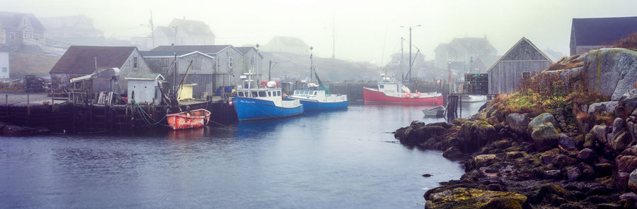 Foggy Fishing Mural Wallpaper