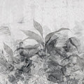 Reduced Forest Mural Wallpaper - pure wallpaper artwork