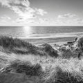 Dune Landscape, Black & White Mural Wallpaper - pure wallpaper artwork