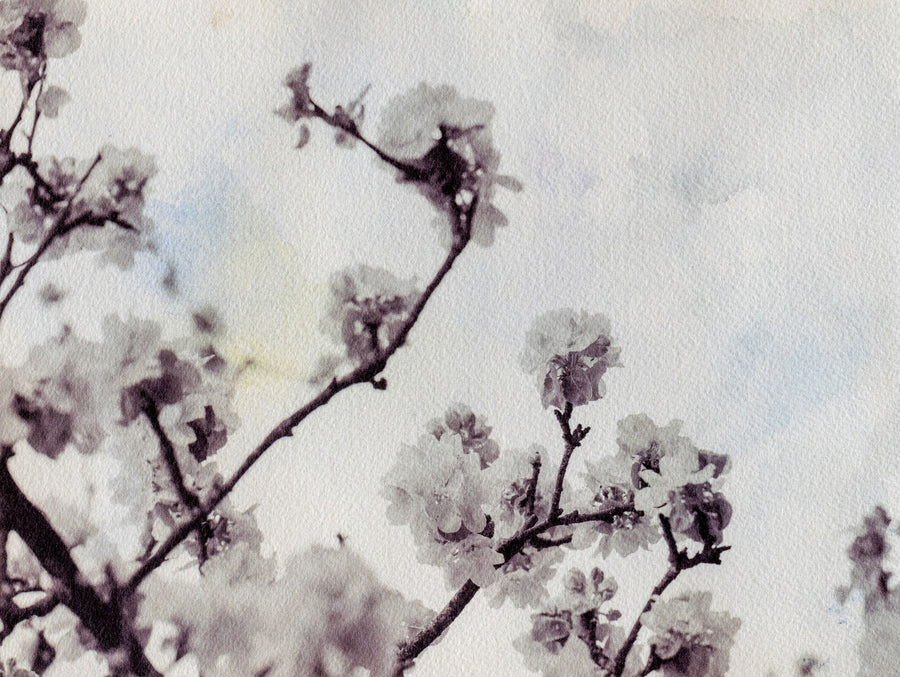 Subtle Blossom Mural Wallpaper