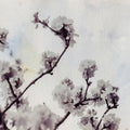 Subtle Blossom Mural Wallpaper - pure wallpaper artwork