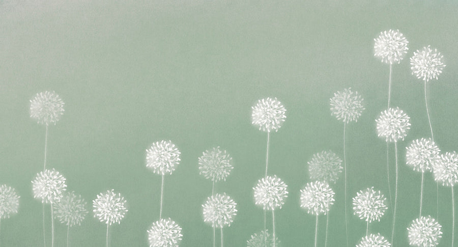 Hello Alliums Mural Wallpaper