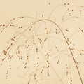 Lakeside Grasses Mural Wallpaper - pure wallpaper artwork