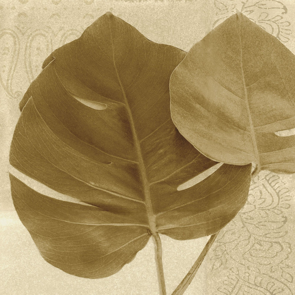 Ornate Monstera Leaf II Mural Wallpaper - pure wallpaper artwork