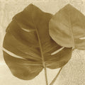 Ornate Monstera Leaf II Mural Wallpaper - pure wallpaper artwork