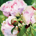 Pink Peony Mural Wallpaper - pure wallpaper artwork