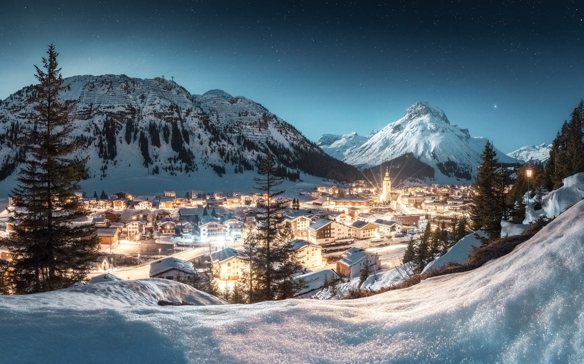Winter Wonderland Mural Wallpaper - pure wallpaper artwork