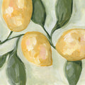 Lemons on a Branch Mural Wallpaper - pure wallpaper artwork