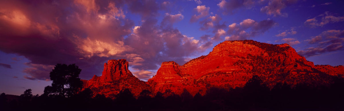 Desert Majesty Mural Wallpaper - pure wallpaper artwork