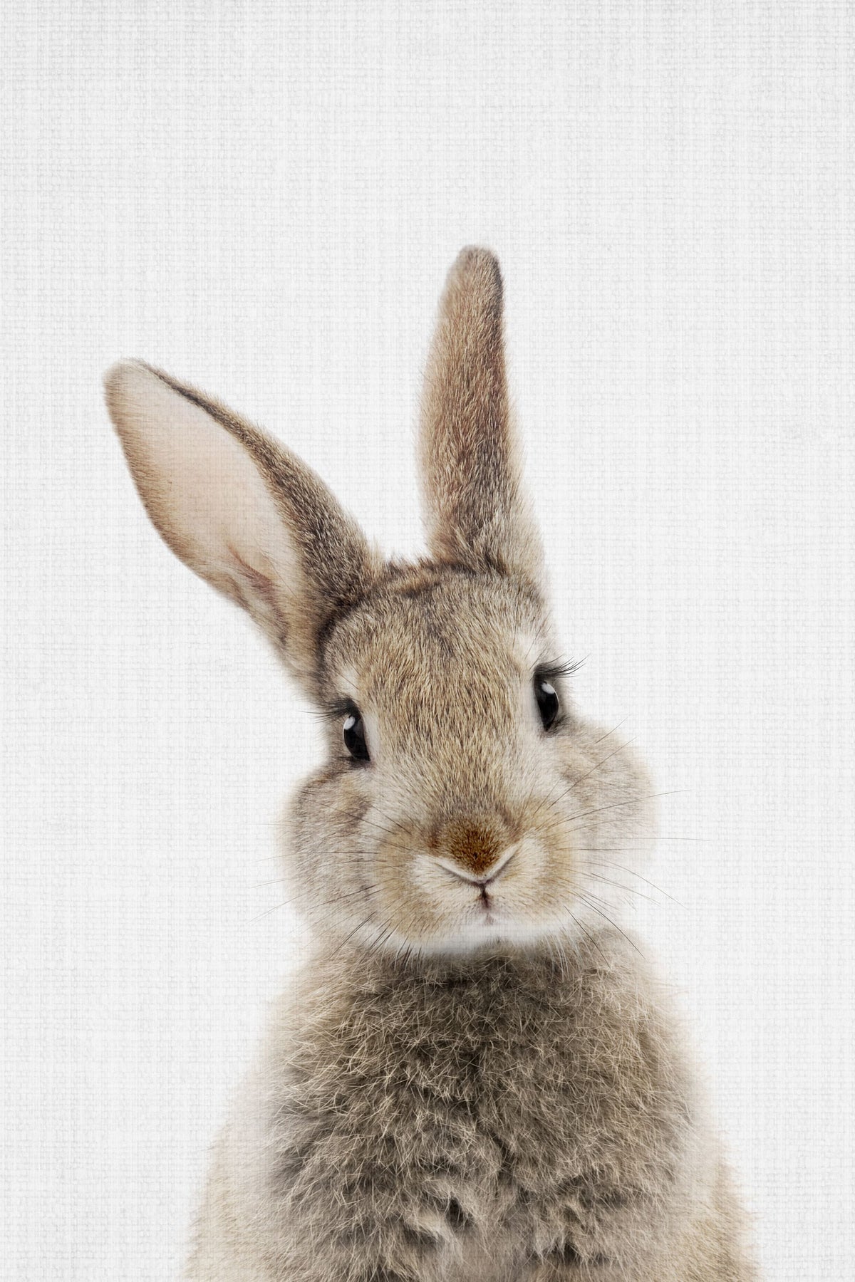Peekaboo Bunny Mural Wallpaper - pure wallpaper artwork