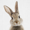 Peekaboo Bunny Mural Wallpaper - pure wallpaper artwork
