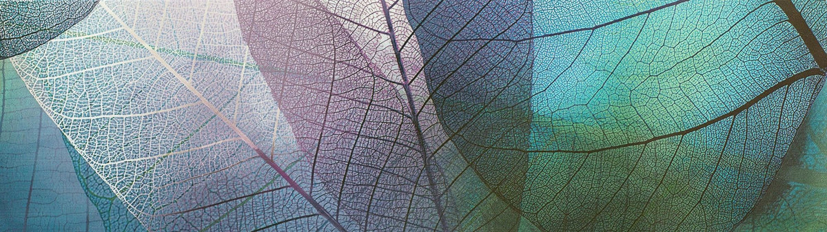 Pastel Leaves Mural Wallpaper - pure wallpaper artwork