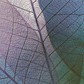 Pastel Leaves Mural Wallpaper - pure wallpaper artwork