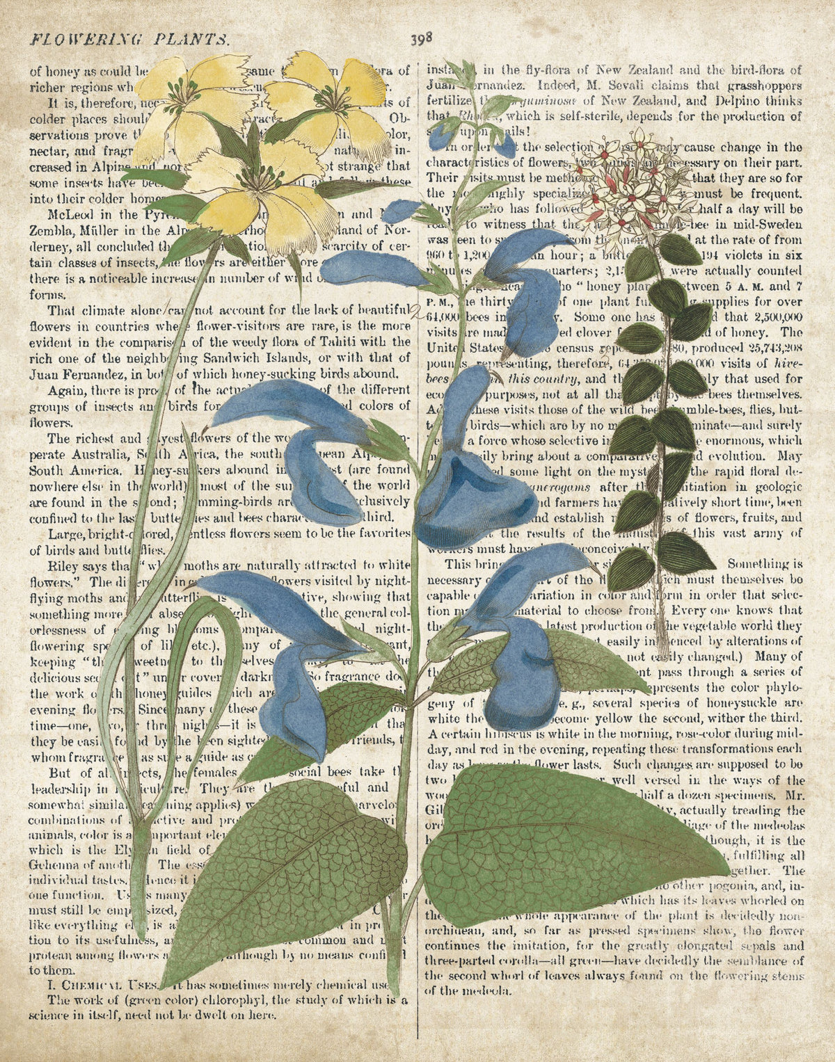 Salvia Florals on Newsprint II Mural Wallpaper - pure wallpaper artwork